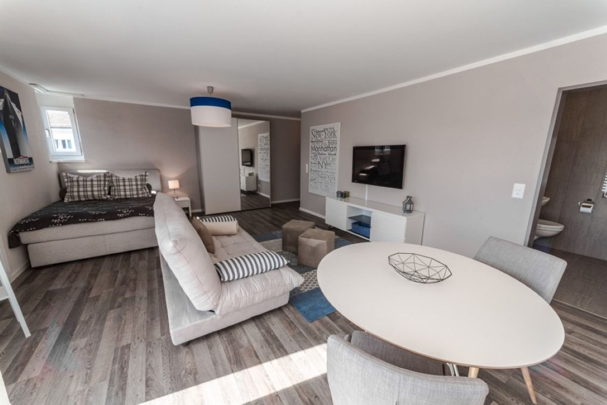 Ooze – 1.5 Room Apartment in Zürich - 1