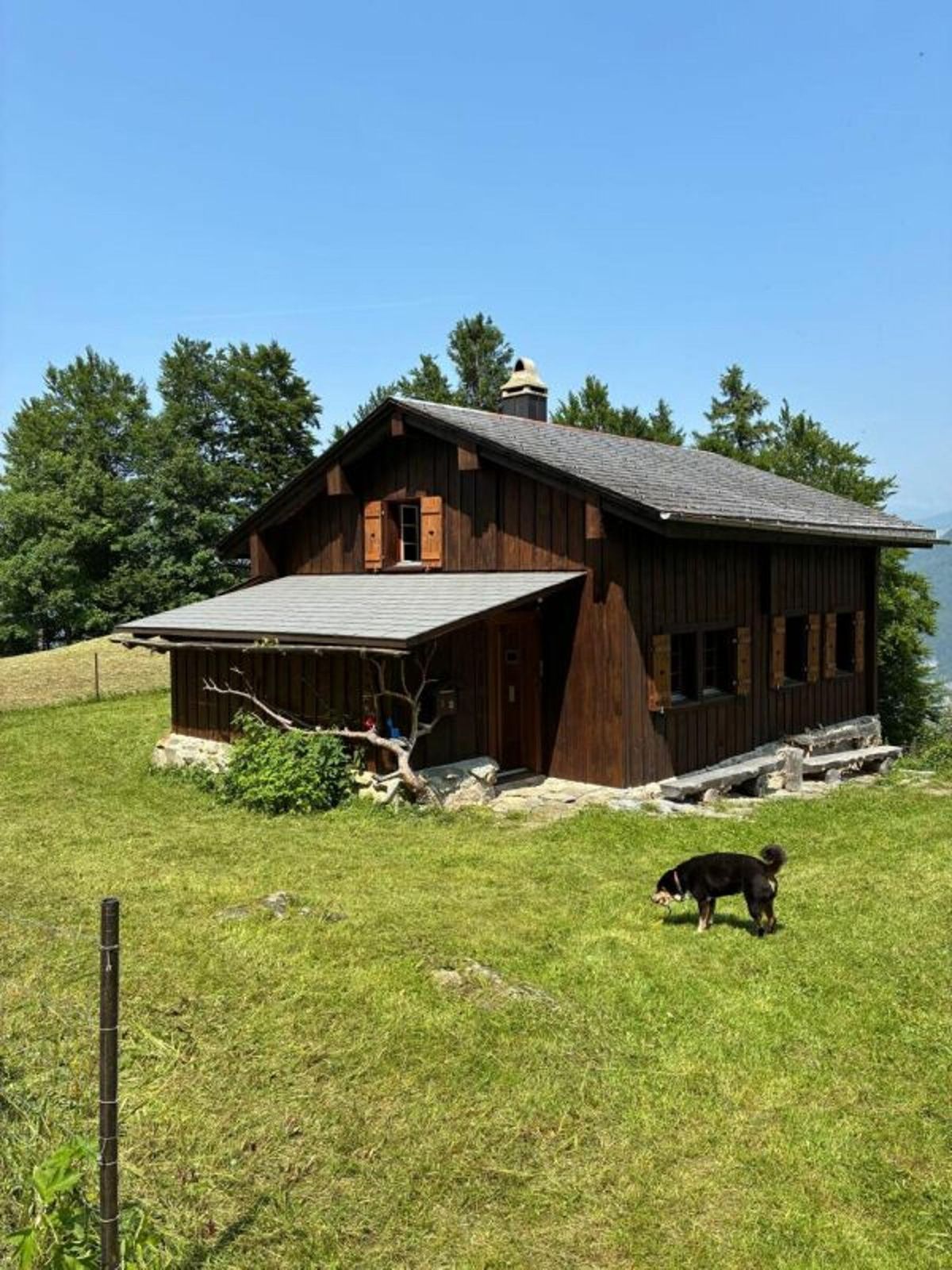 Paradisli - Ihr neues Zuhause über den Wolken - 1