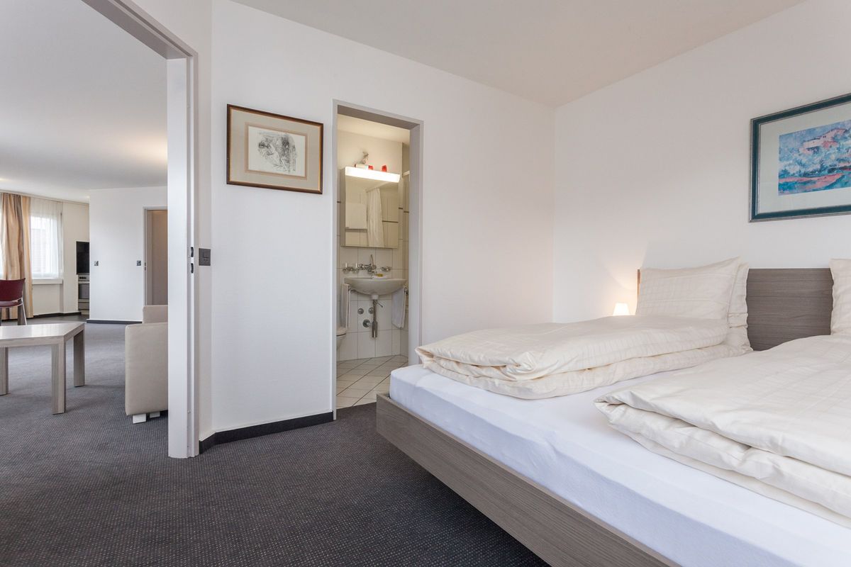 1 Bedroom Serviced Apartment Aussersihl - 2