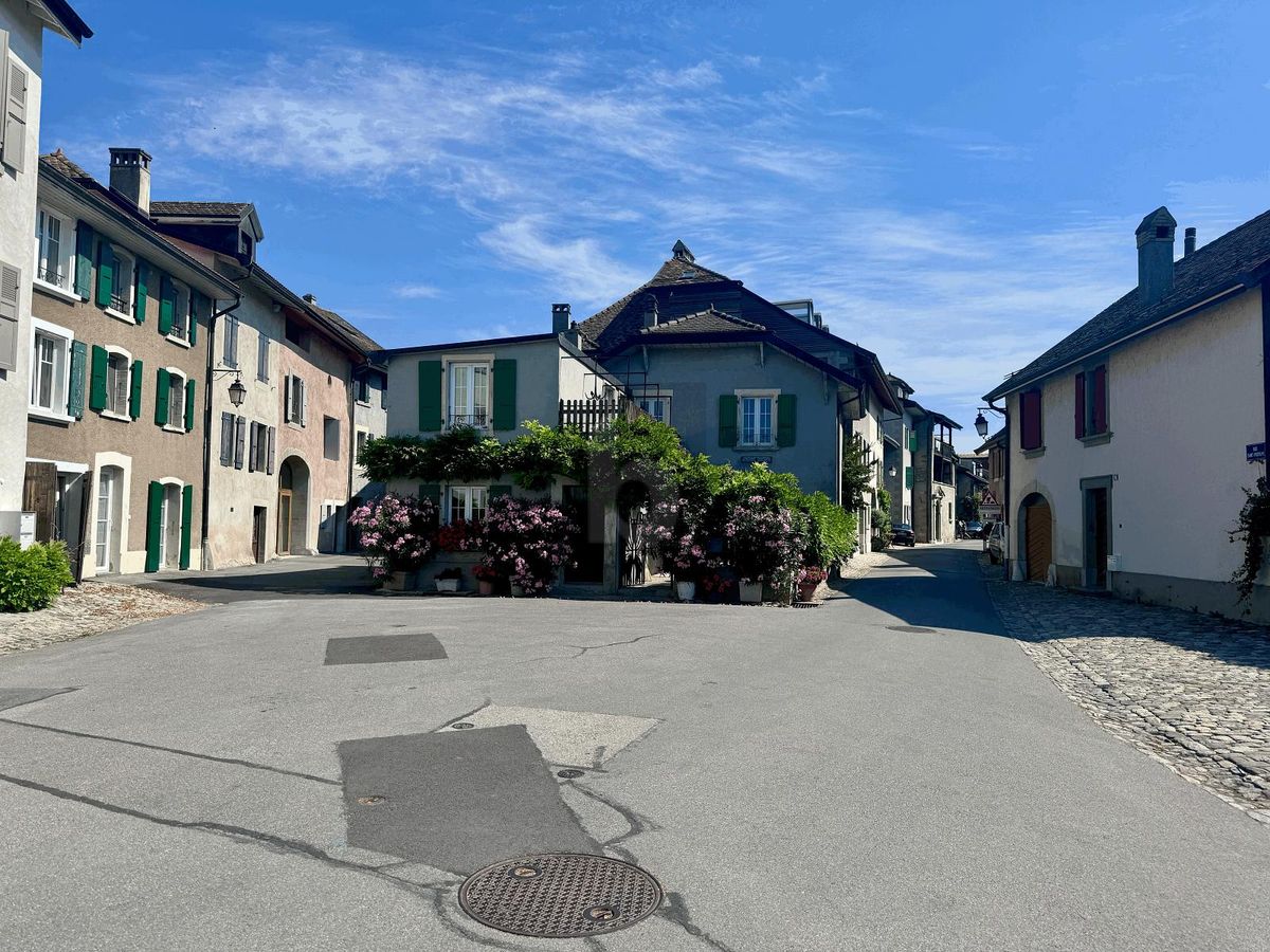 ARCADE AU COEUR DU BOURG DE SAINT-PREX - 1
