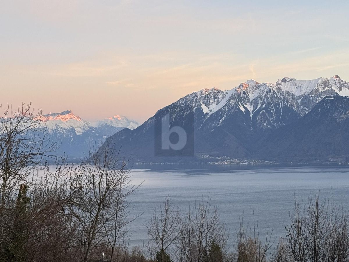 RÉNOVÉ, SUPERBE VUE SUR LAC AU COEUR DU LAVAUX - 1