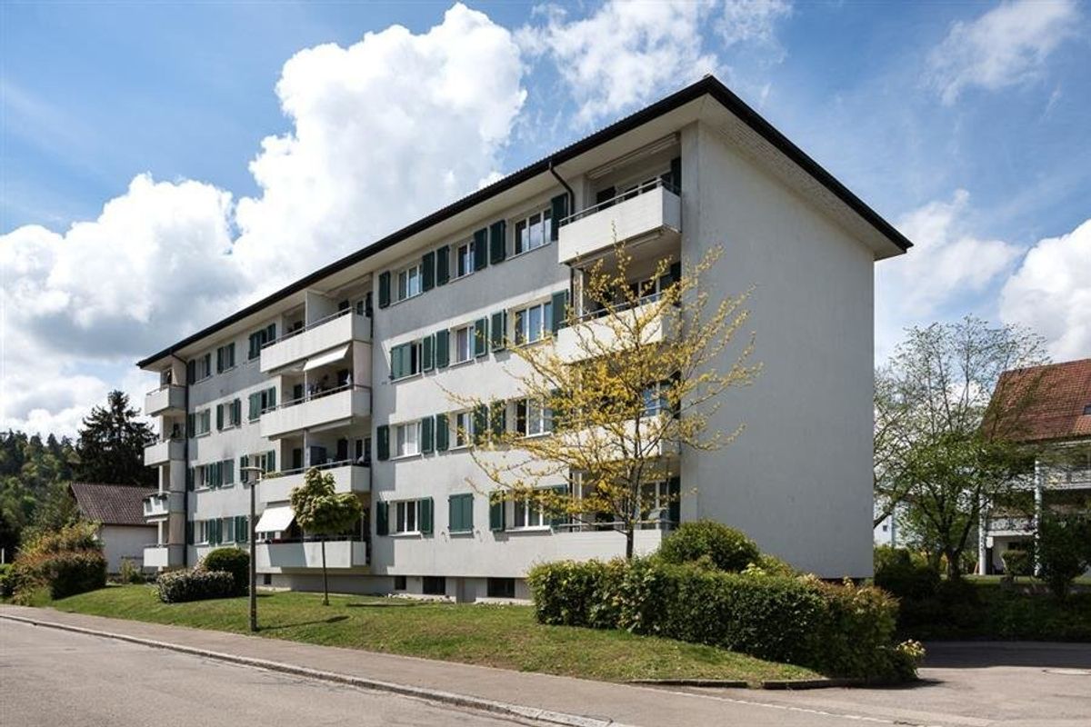 Renovierte 4.5 Zimmer-Dachwohnung im Grünen - 0