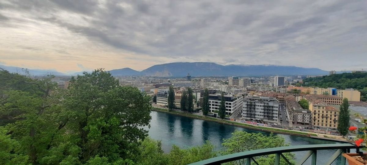 A saisir ! Magnifique appartement au coeur de Genève ! - 9