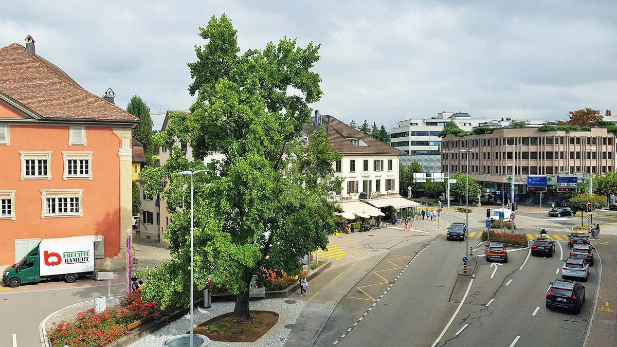 LICHTDURCHFLUTET UND ZENTRAL - 0