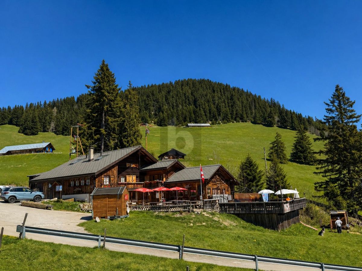 SPLENDIDE CHALET RESTAURANT AVEC APPARTEMENT - 0