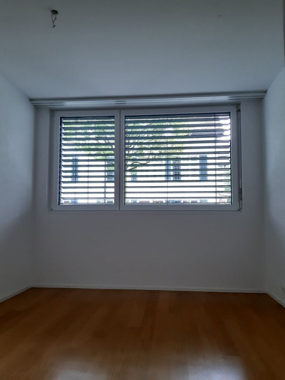 Wunderschöne Wohnung sucht neuen Mieter/in - 1