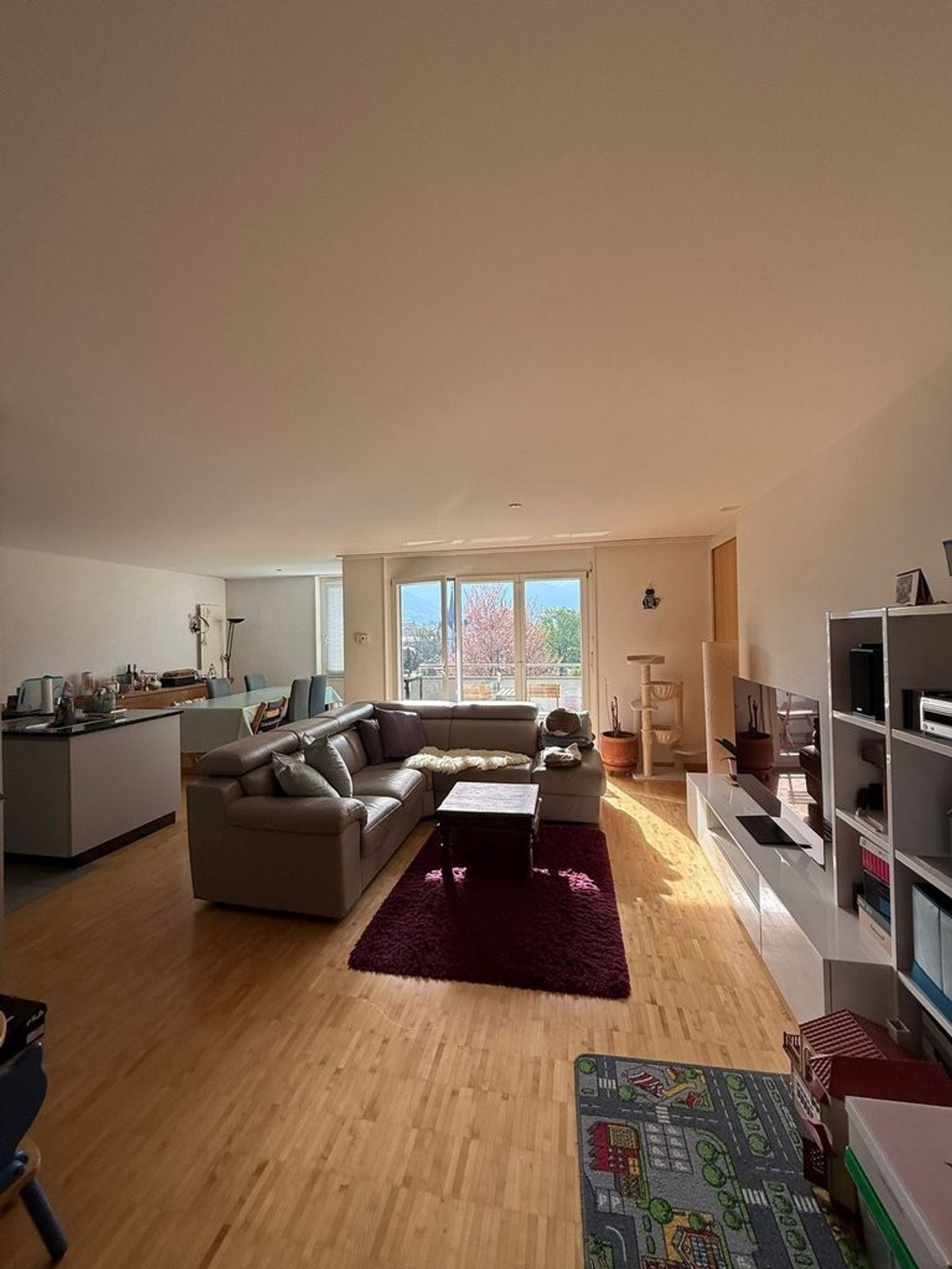 A saisir ! Logement avec vue de rêve sur le lac Léman et les Alpes ! - 1