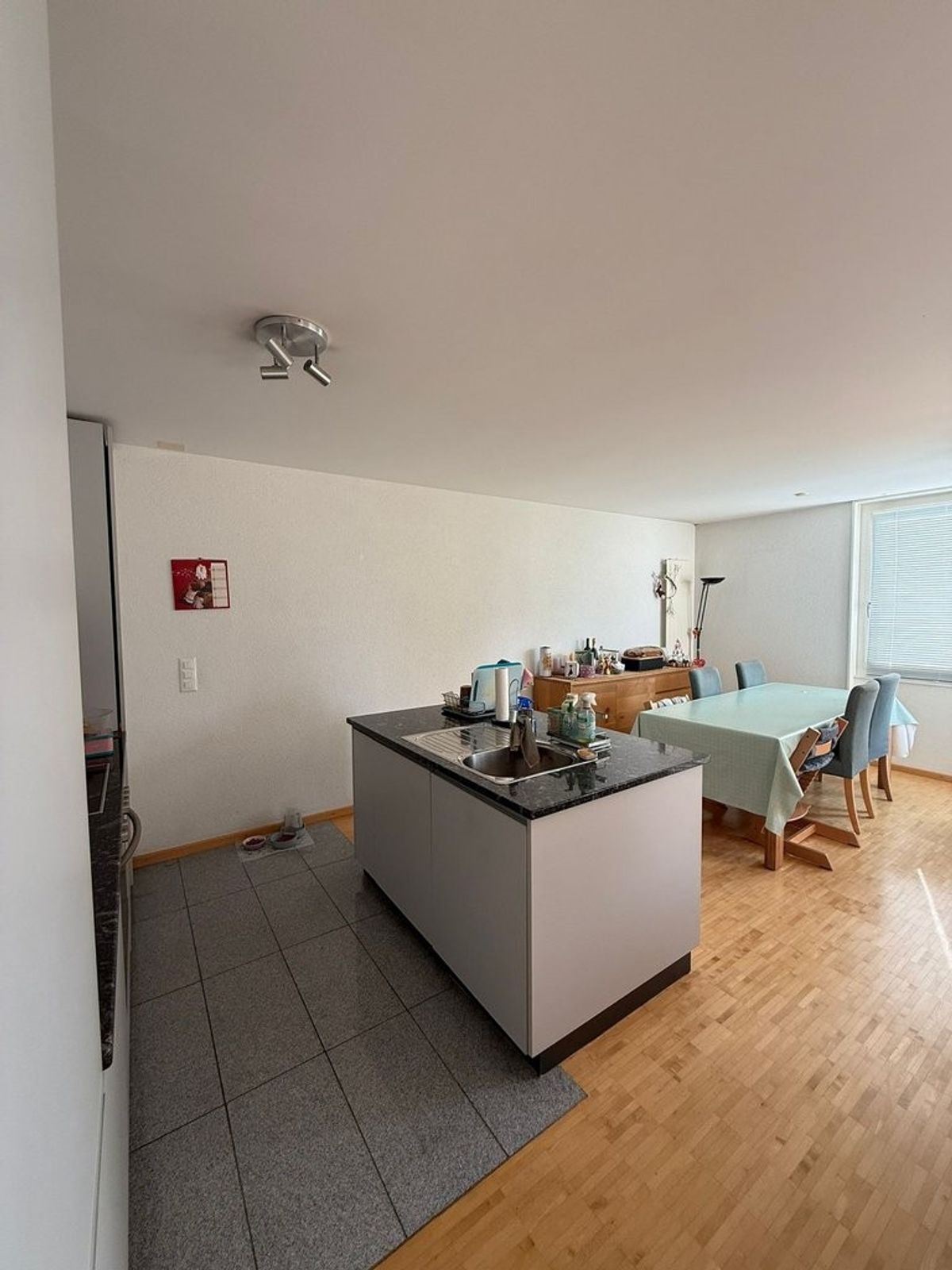 A saisir ! Logement avec vue de rêve sur le lac Léman et les Alpes ! - 2
