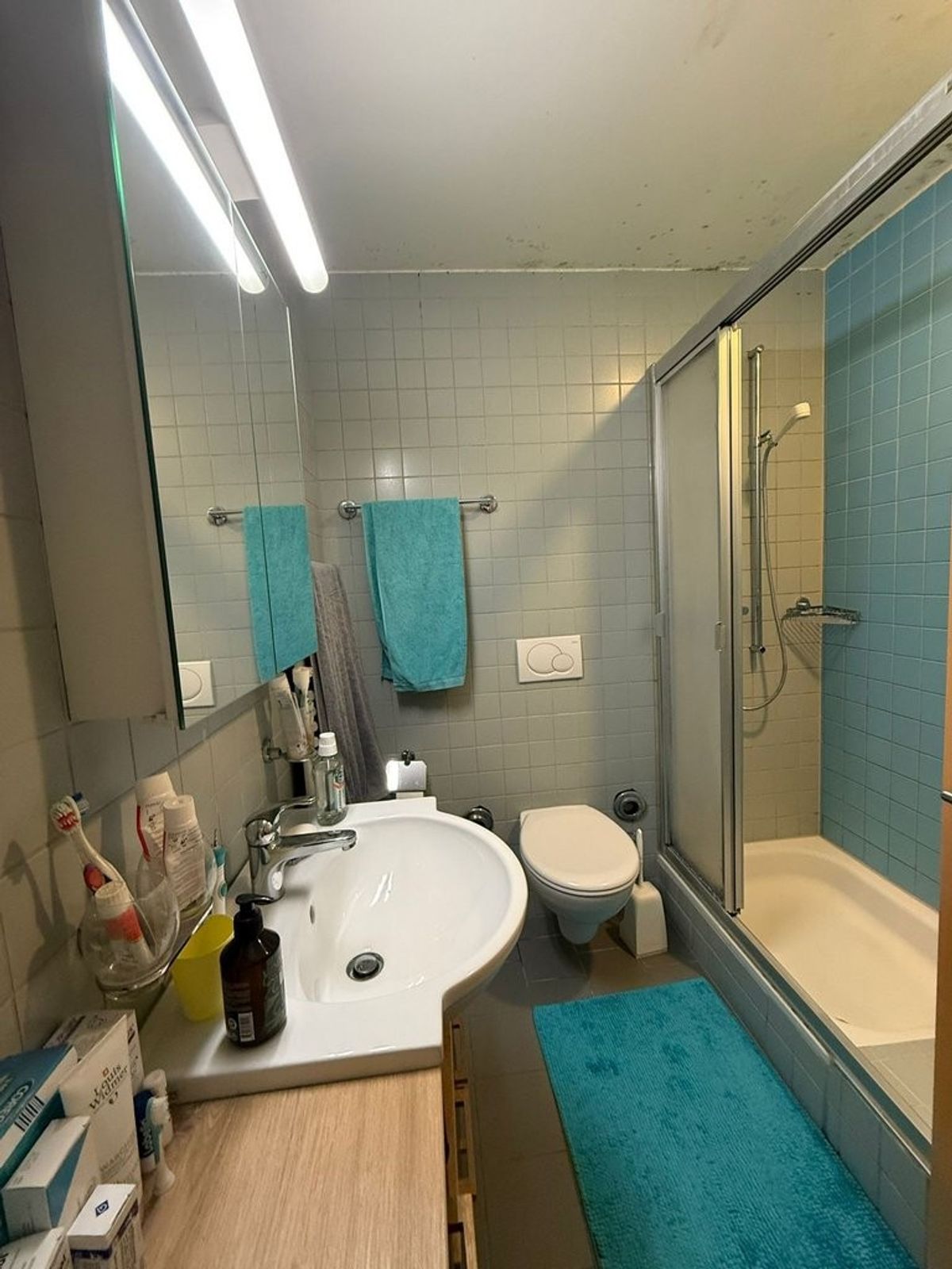 A saisir ! Logement avec vue de rêve sur le lac Léman et les Alpes ! - 5