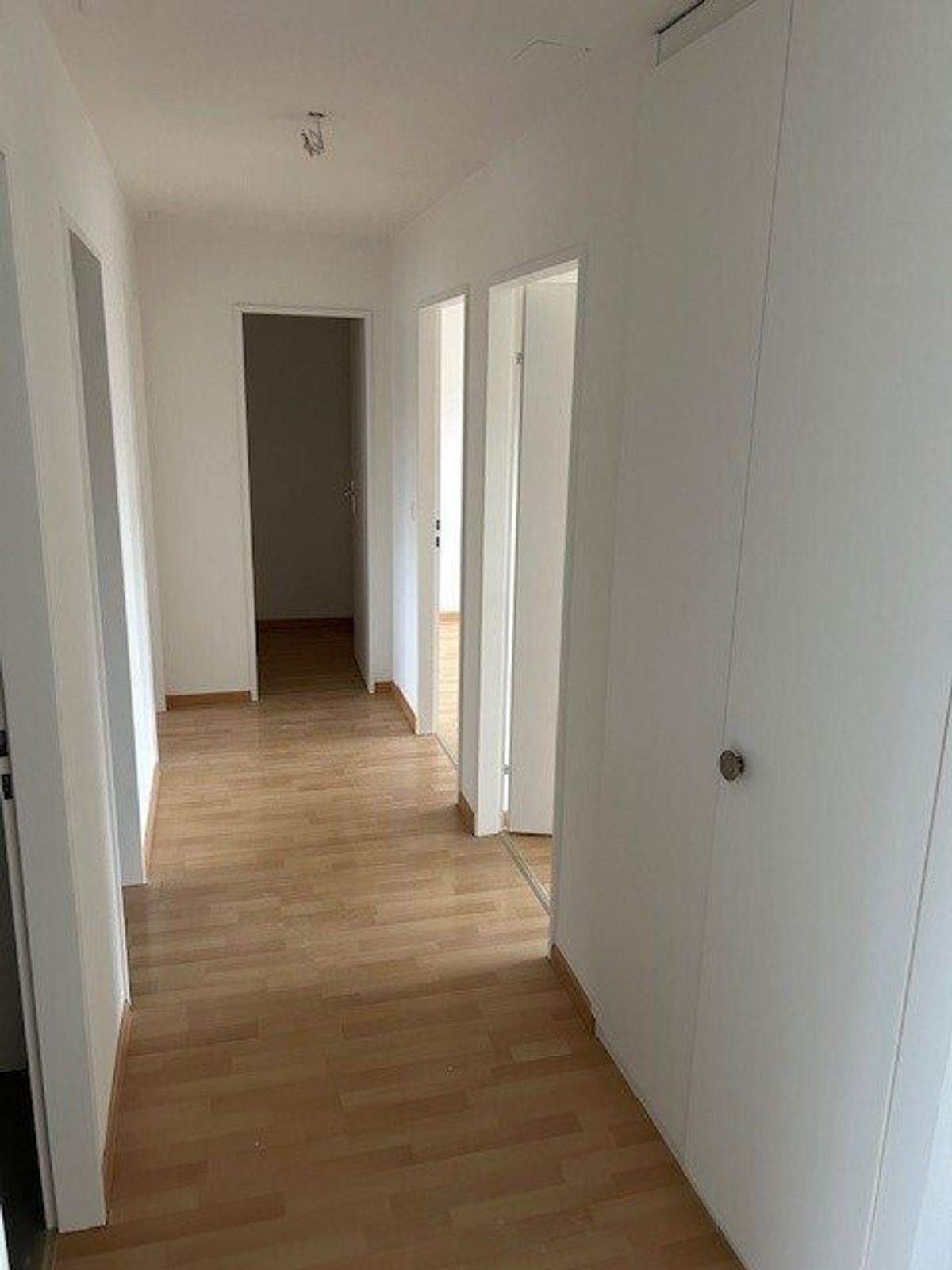 Top Wohnung mit neuer Küche! 1. Monat GRATIS! - 4