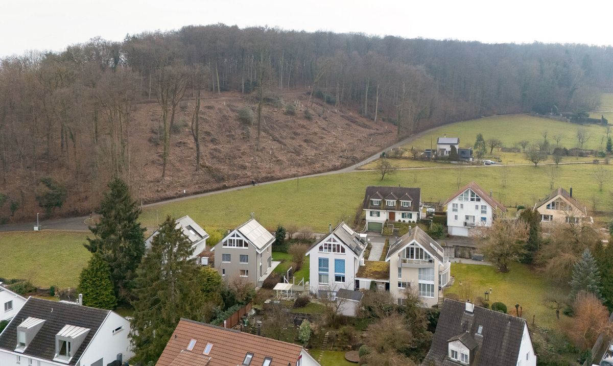 Bauland in Bettingen – seltene Gelegenheit - 6