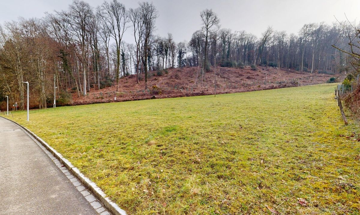 Bauland in Bettingen – seltene Gelegenheit - 9