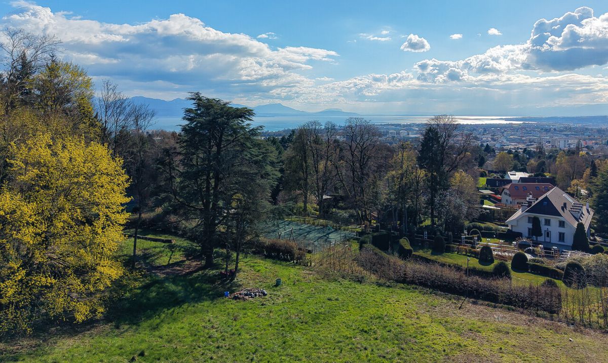 EINZIGARTIGES GRUNDSTÜCK AM WALDRAND NAHE LAUSANNE - 2