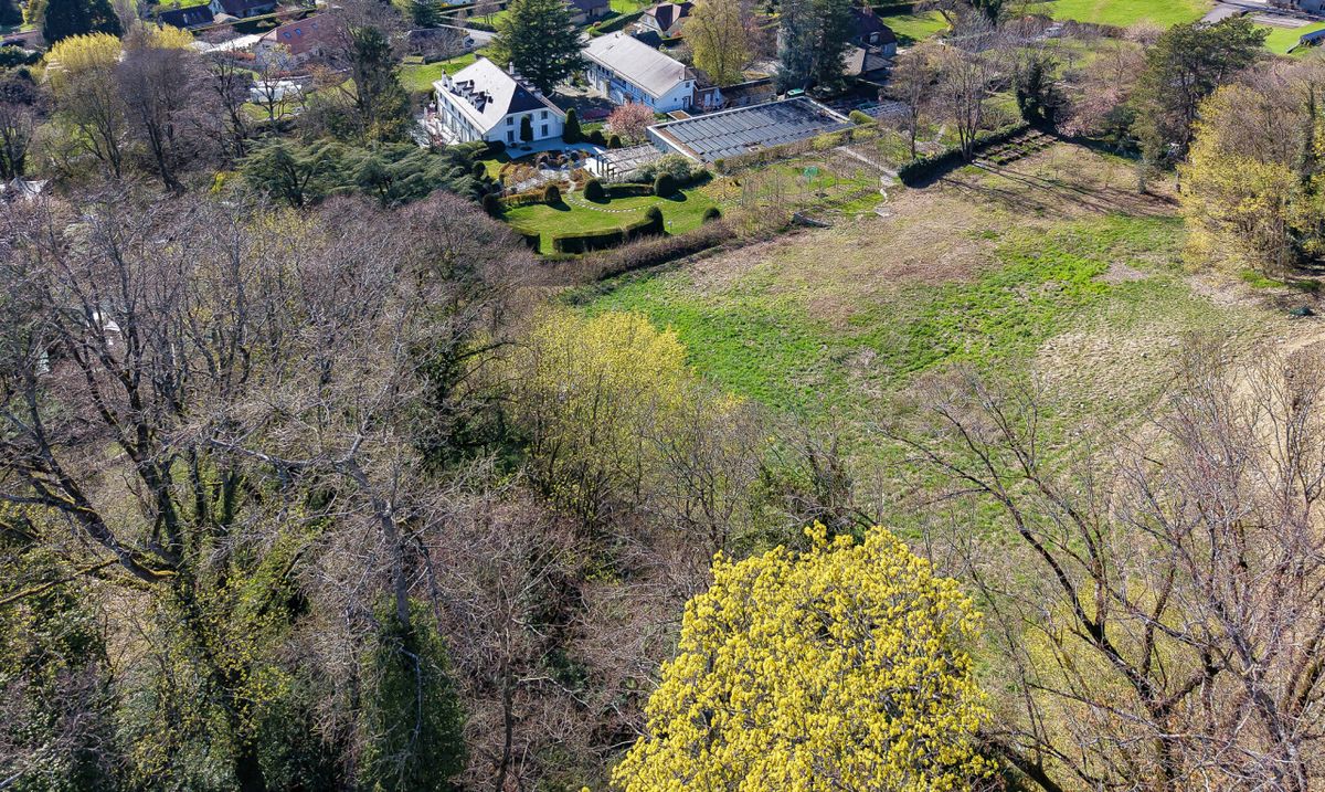 EINZIGARTIGES GRUNDSTÜCK AM WALDRAND NAHE LAUSANNE - 3