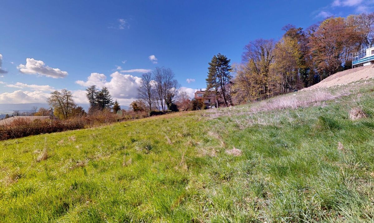 EINZIGARTIGES GRUNDSTÜCK AM WALDRAND NAHE LAUSANNE - 7