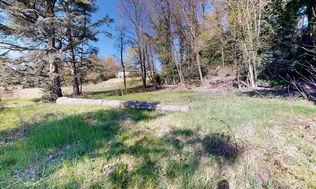 EINZIGARTIGES GRUNDSTÜCK AM WALDRAND NAHE LAUSANNE - 9