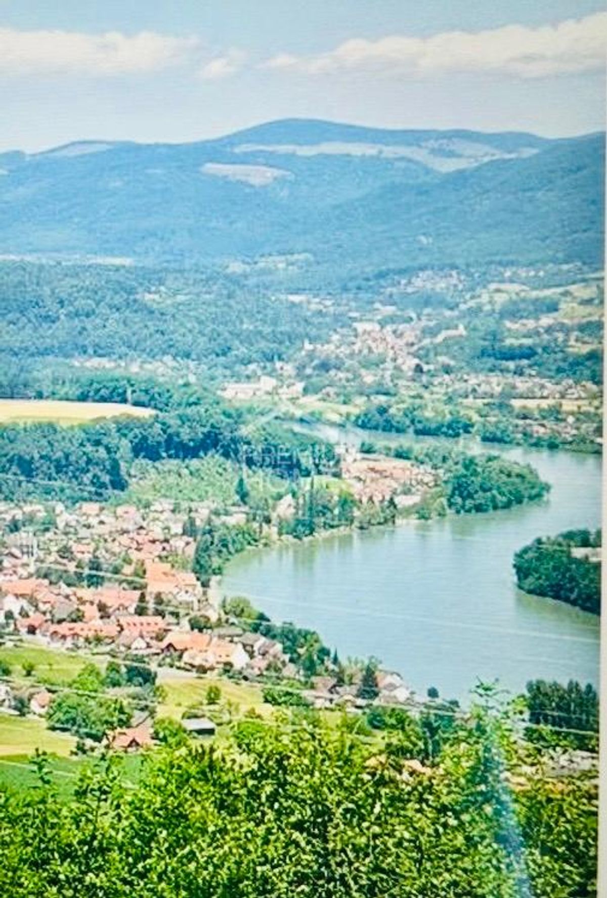 Wohnen in unmittelbarer Nähe zum Rhein - 0
