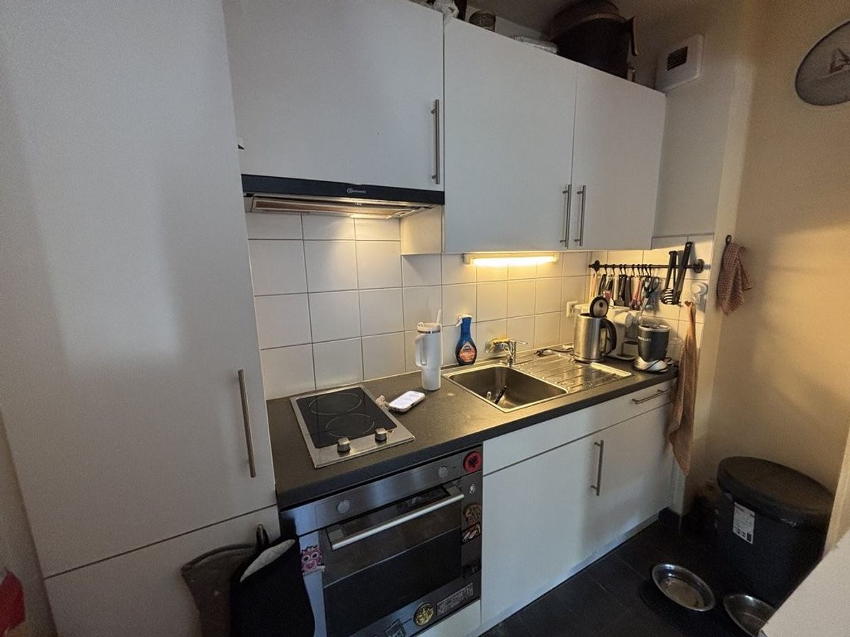 A saisir ! Magnifique logement au Grand-Saconnex ! - 2