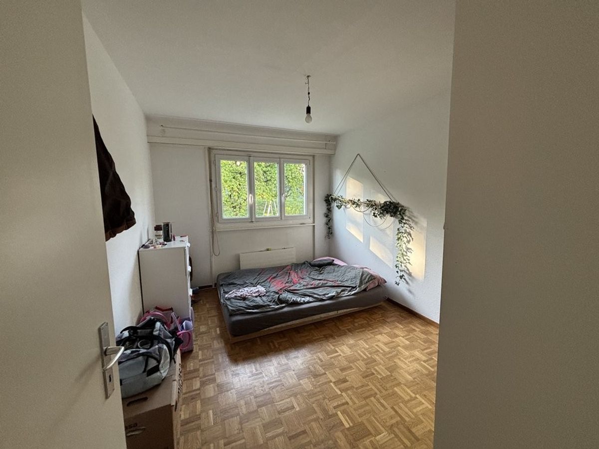 A saisir ! Magnifique logement au Grand-Saconnex ! - 3