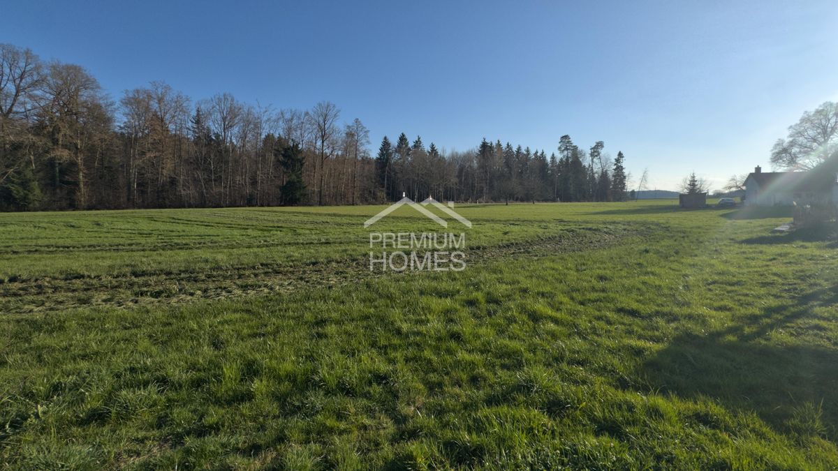 Ruhe, Natur und Sonne - hier entsteht Ihr Traumhaus - 2