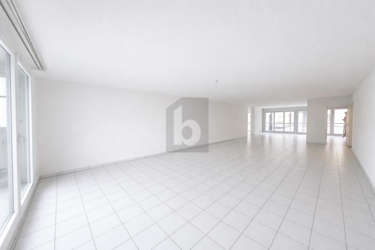 GRAND ESPACE EN PLEIN CENTRE - 0