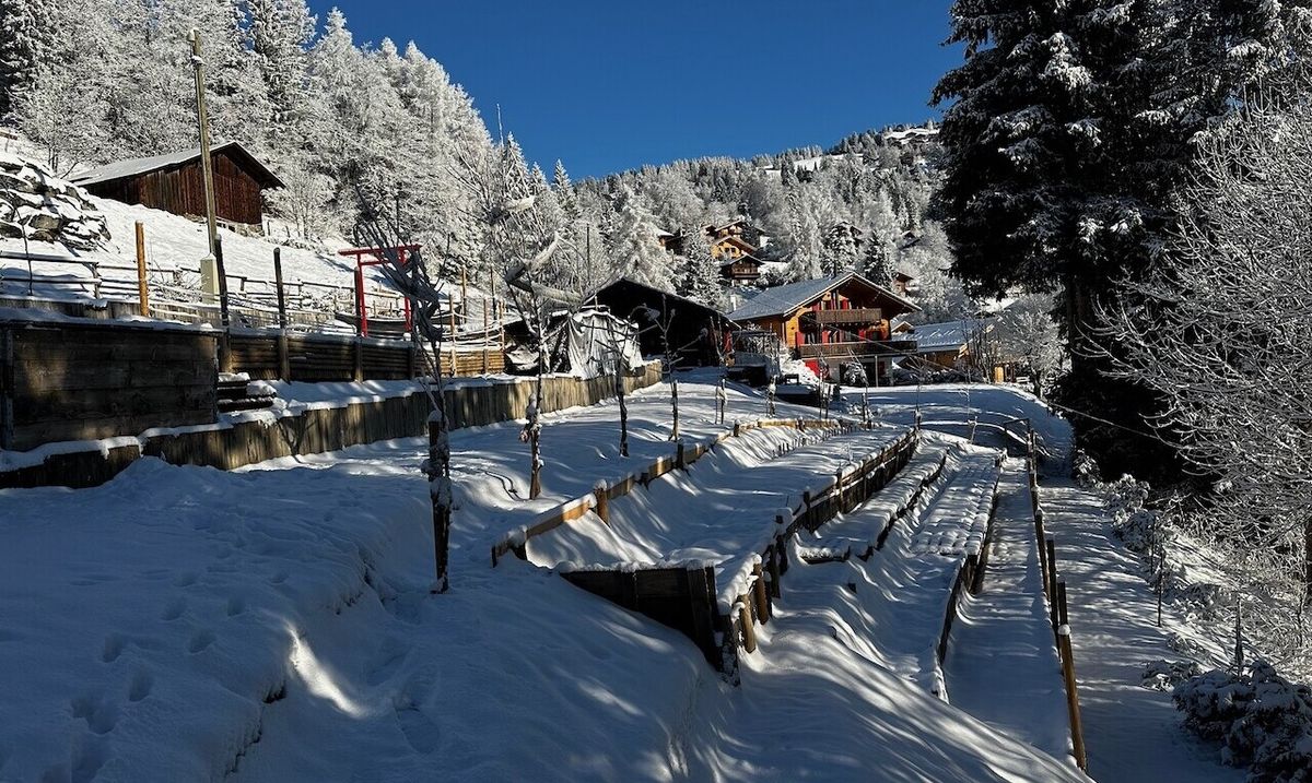 "La Bonne Étoile" – Chalet including 3 buildable plots - 2