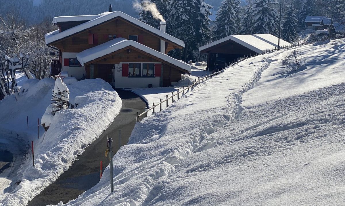 "La Bonne Étoile" – Chalet including 3 buildable plots - 3