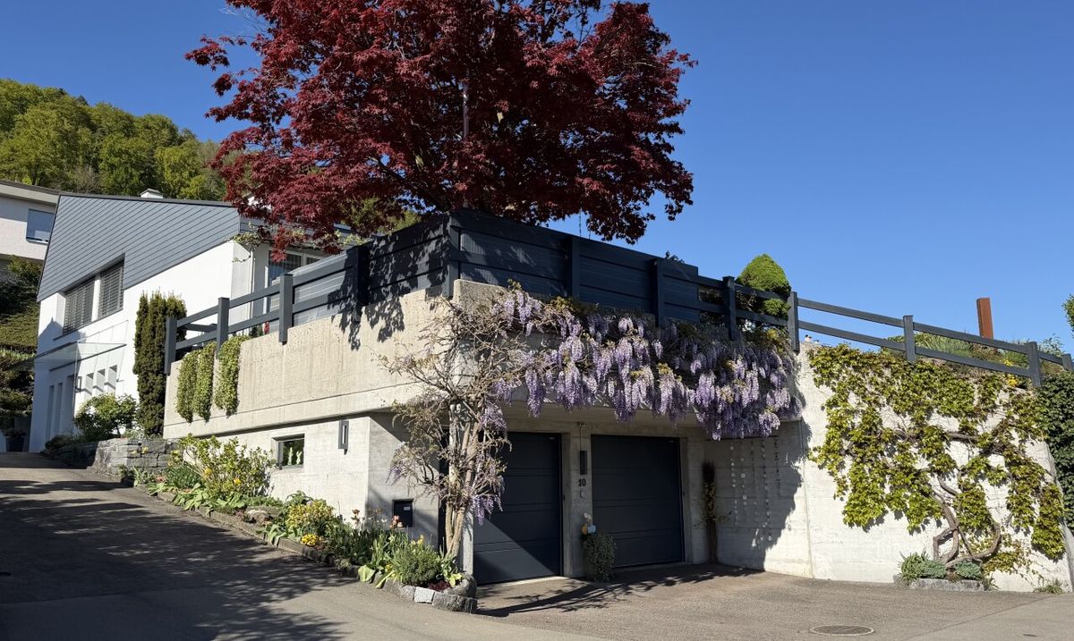 Einfamilienhaus in Zuzwil SG - 0