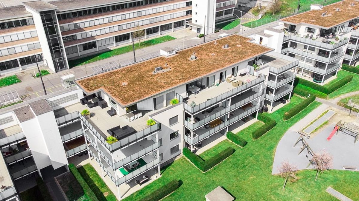 Familienwohnung mit grossem Garten gesucht? - 0
