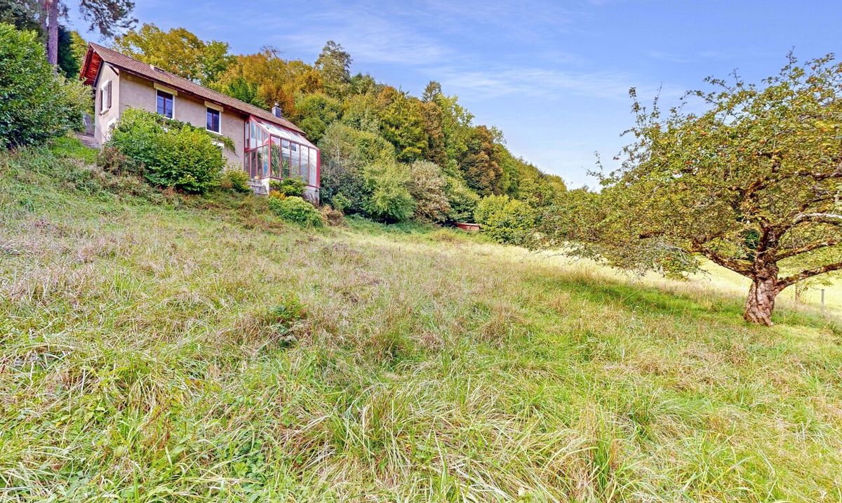 BUILDING PLOT WITH PROJECT FOR 2 UNITS + ADJOINING GREEN ZONE - 8