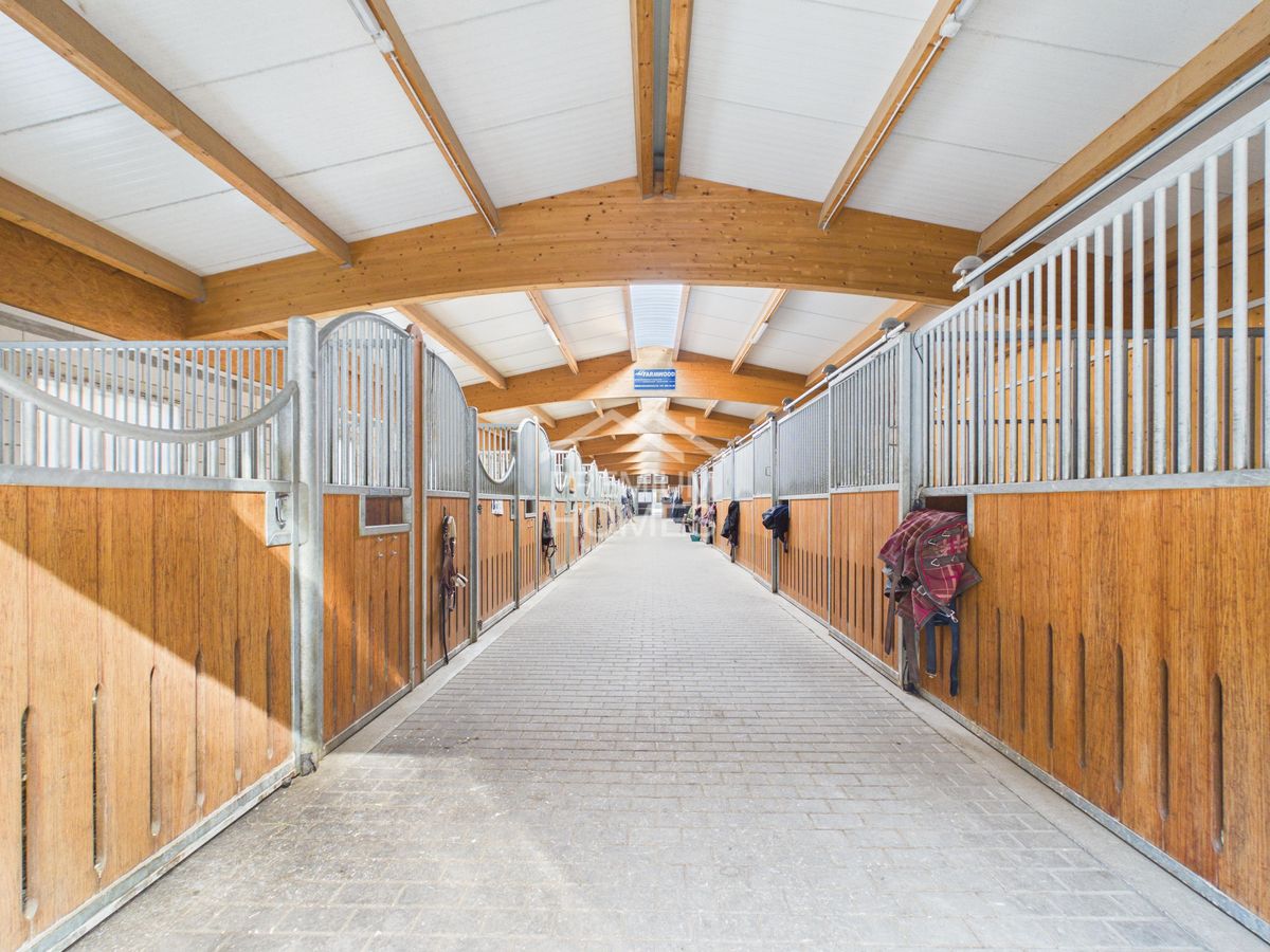 Reitsport auf höchstem Niveau - Ein Paradies für Pferd und Reiter! - 0