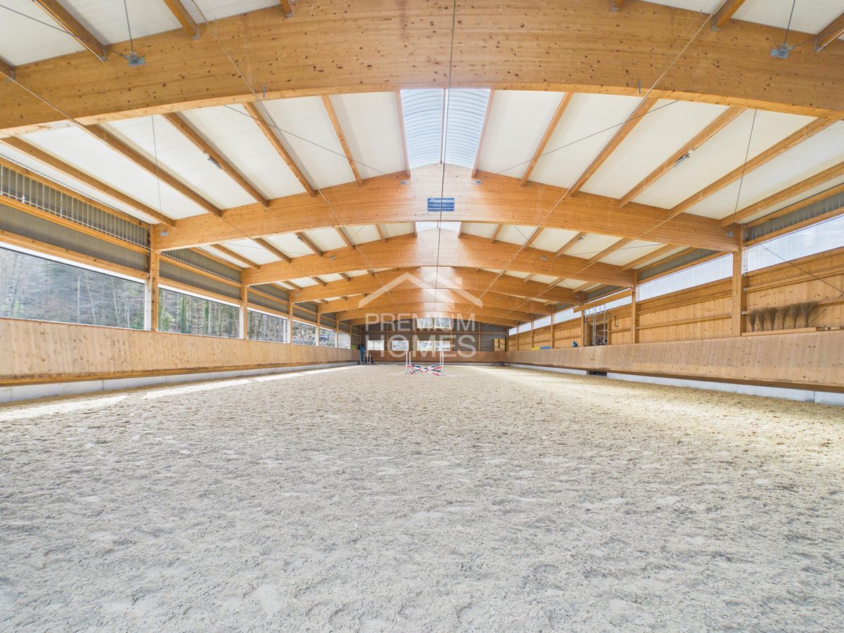 Reitsport auf höchstem Niveau - Ein Paradies für Pferd und Reiter! - 1