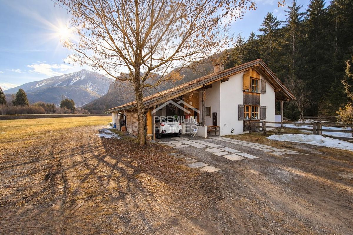 IHR SCHMUCKSTÜCK NEBEN DEM WALD - 1