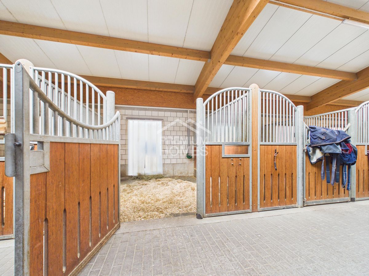Reitsport auf höchstem Niveau - Ein Paradies für Pferd und Reiter! - 2