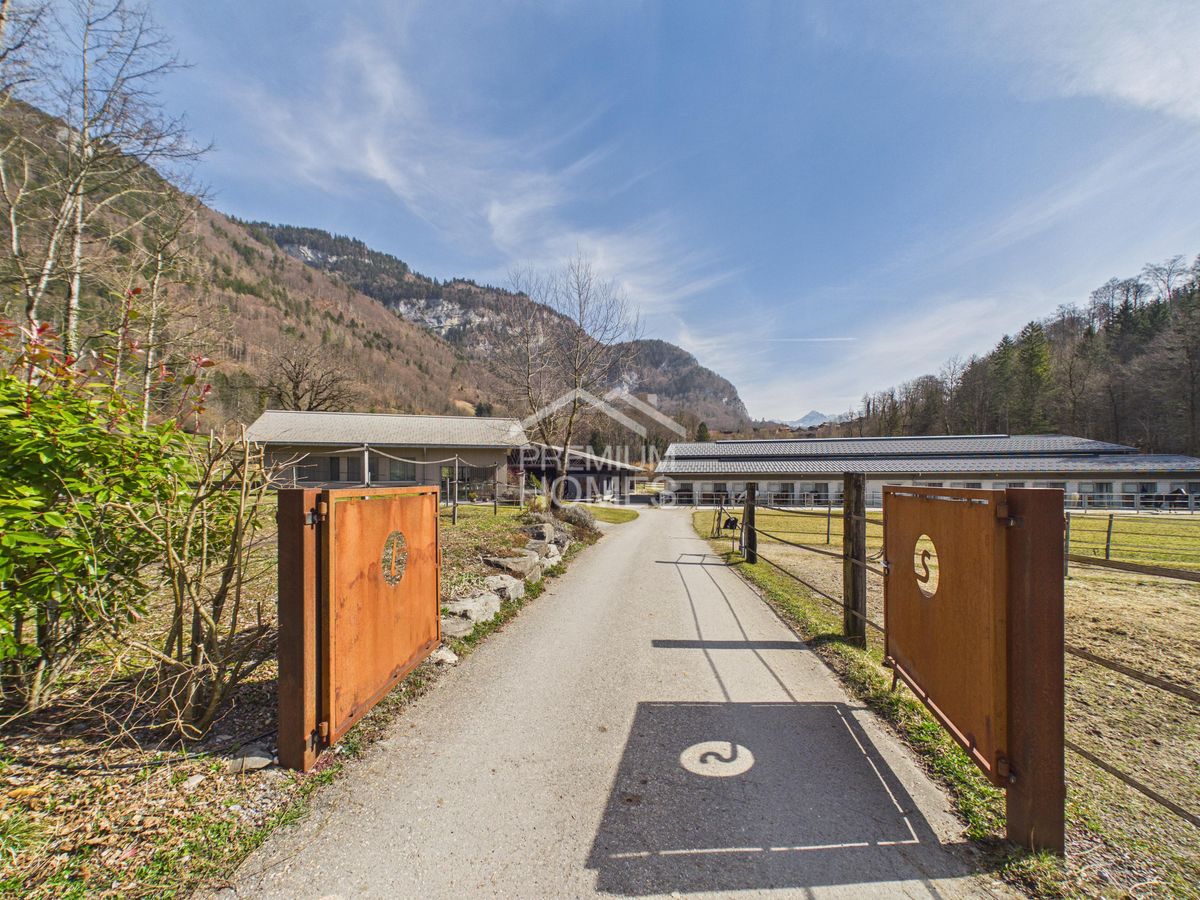 Reitsport auf höchstem Niveau - Ein Paradies für Pferd und Reiter! - 6