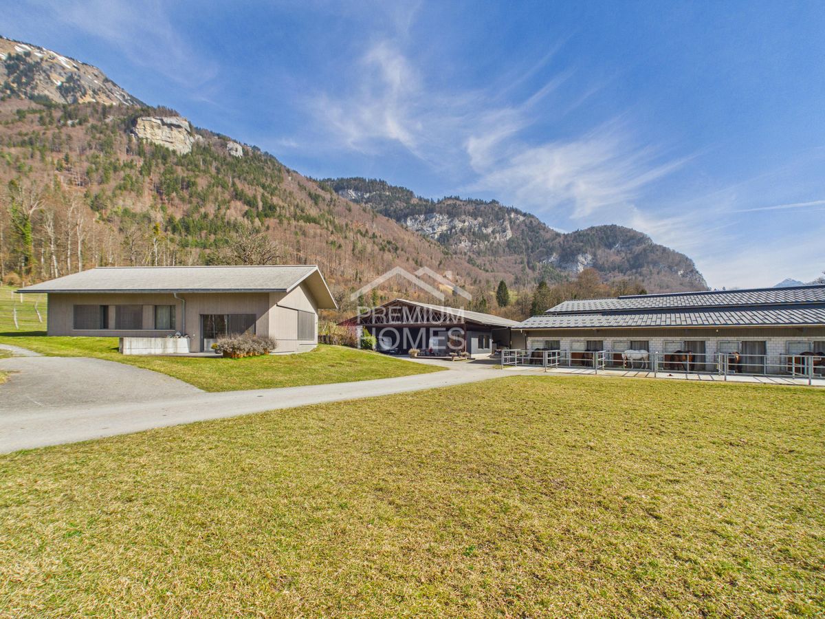Reitsport auf höchstem Niveau - Ein Paradies für Pferd und Reiter! - 7