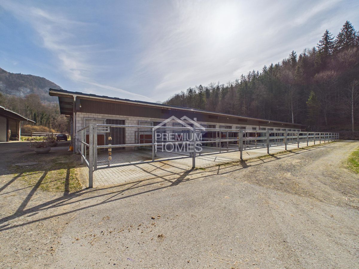 Reitsport auf höchstem Niveau - Ein Paradies für Pferd und Reiter! - 8