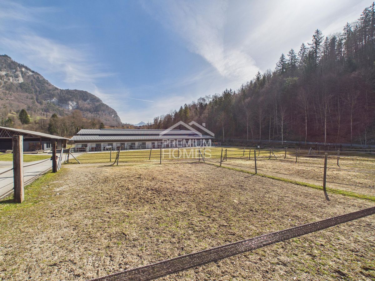 Reitsport auf höchstem Niveau - Ein Paradies für Pferd und Reiter! - 9