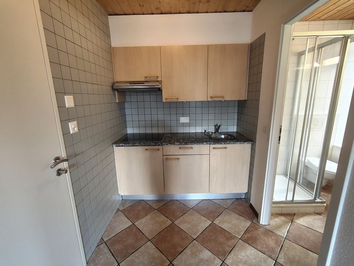A saisir ! Superbe logement à la Conversion ! - 2