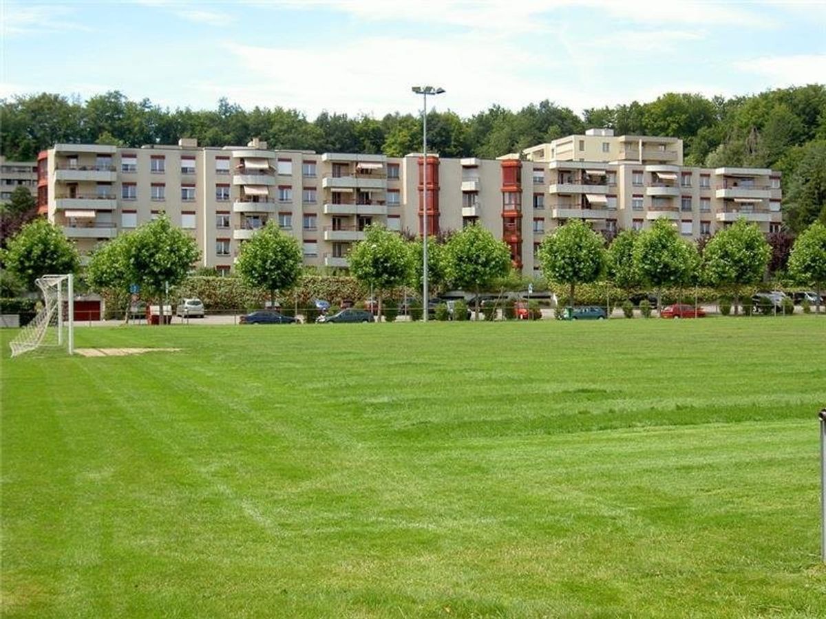 A saisir ! Magnifique logement à Ecublens ! - 0