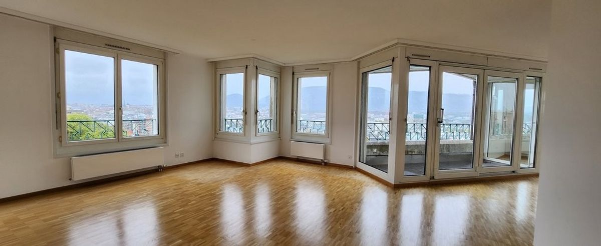 Magnifique appartement avec vue imprenable sur le Rhône - 4