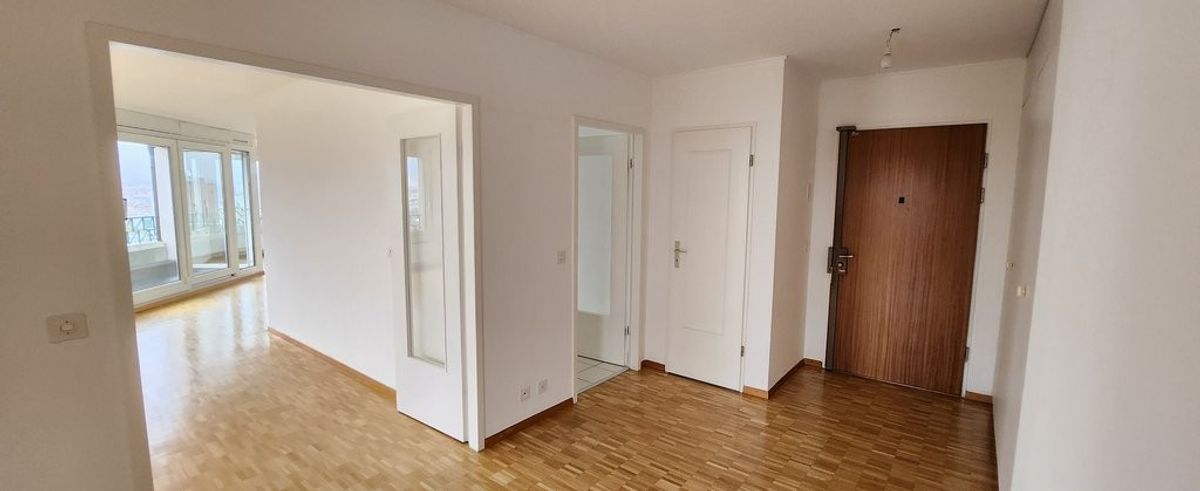 Magnifique appartement avec vue imprenable sur le Rhône - 1