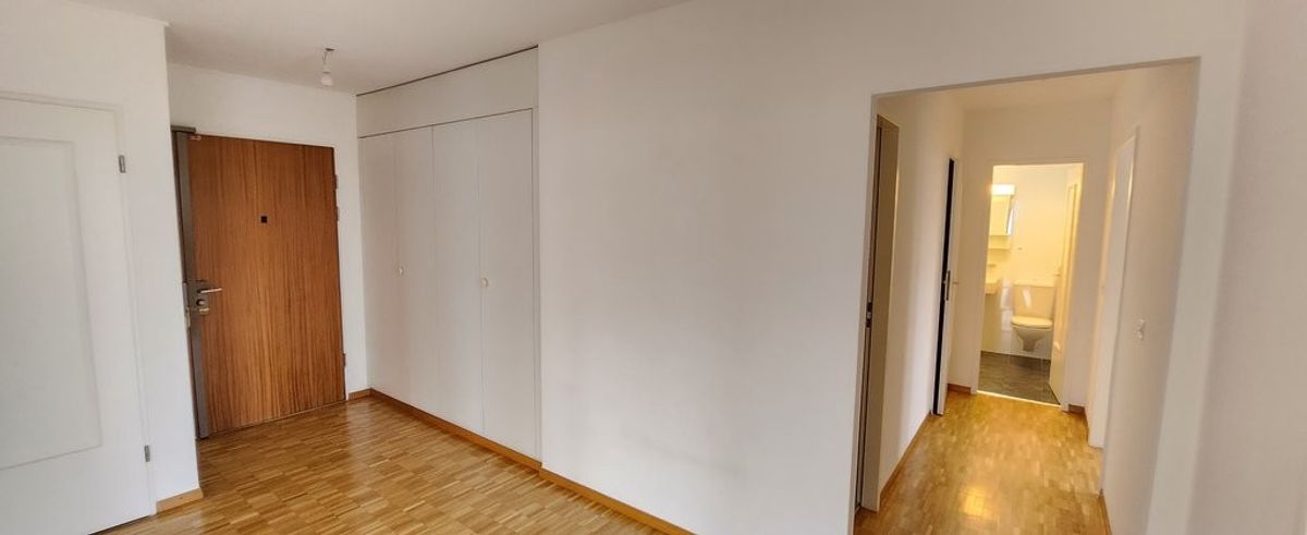 Magnifique appartement avec vue imprenable sur le Rhône - 2