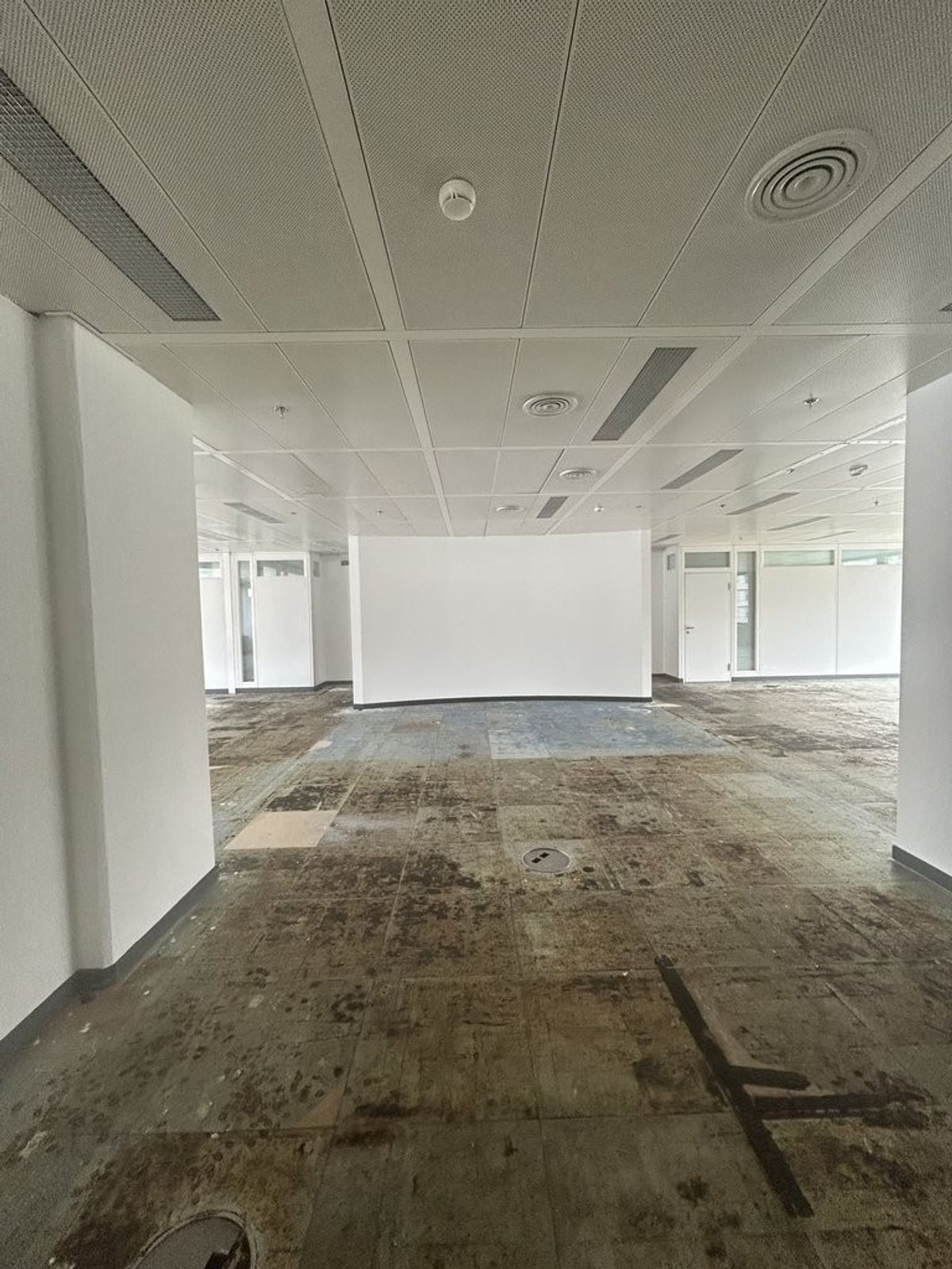 Surface de Bureau de 210m2 - 5