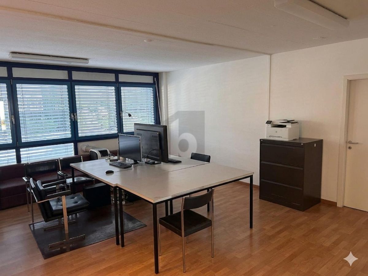 BEL ESPACE À PARTAGER EN ZONE ARTISANALE - 2