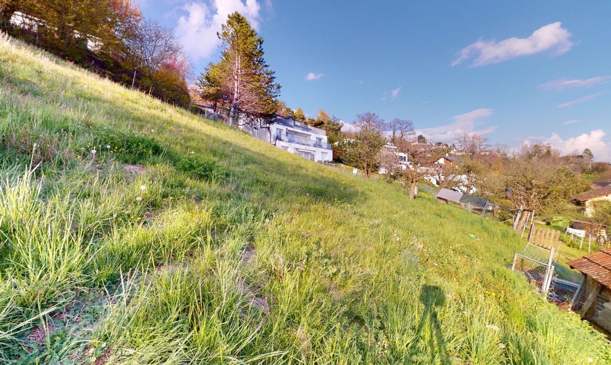 Baugrundstück mit Panoramablick auf See und Alpen - 0