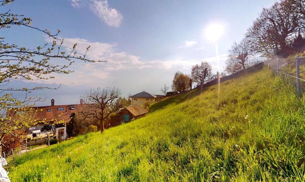 Baugrundstück mit Panoramablick auf See und Alpen - 3