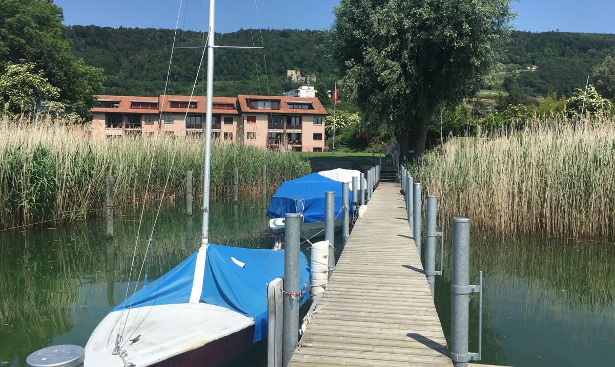 Duplex-Gartenwohnung direkt am See mit eigenem Bootsplatz - 1