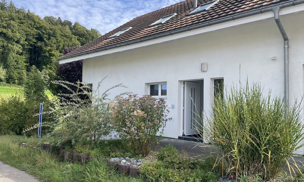 Moderne 2.5-Zimmer-Attikawohnung mit Terrasse und Weitsicht - 2