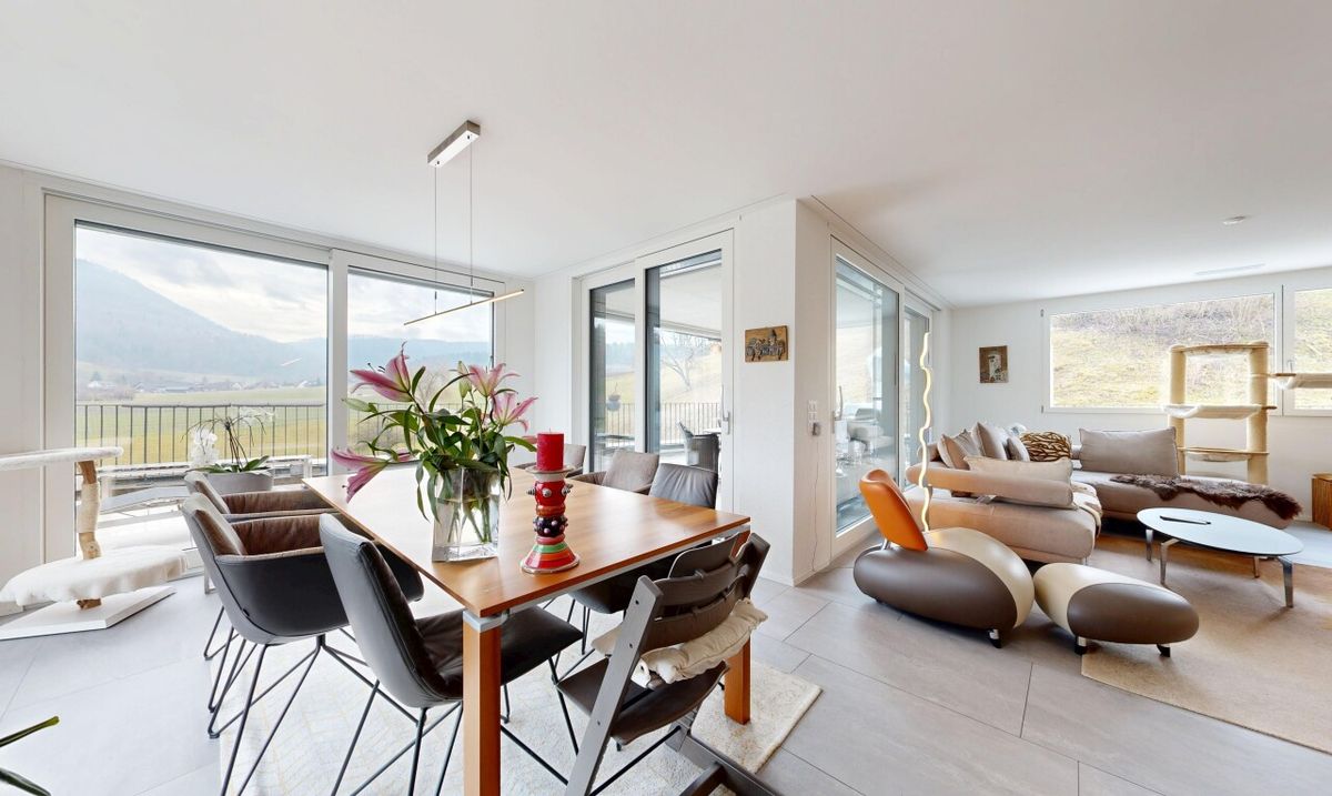 Moderne Attikawohnung mit grosser Südterrasse - 1